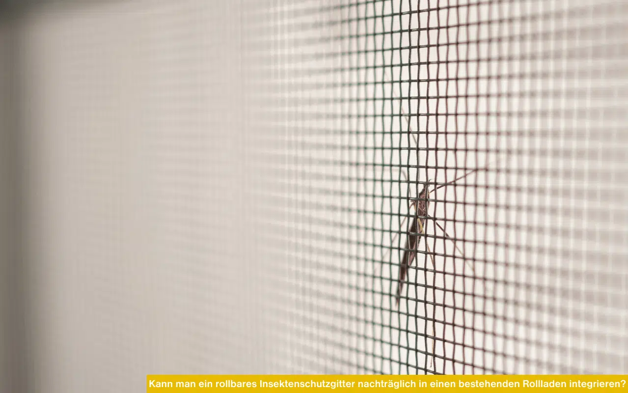 Innenansicht eines Fensters mit integriertem Insektenschutzgitter und Blick auf einen grünen Garten.
