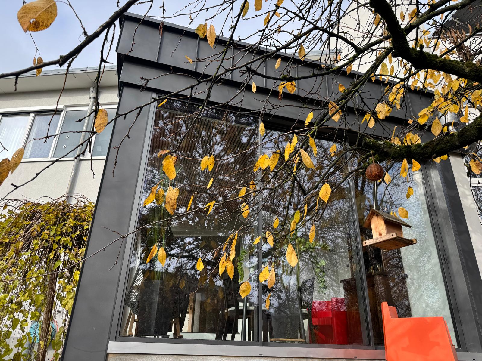 Schiebefenster mit schmalen Rahmen und großer Glasfläche