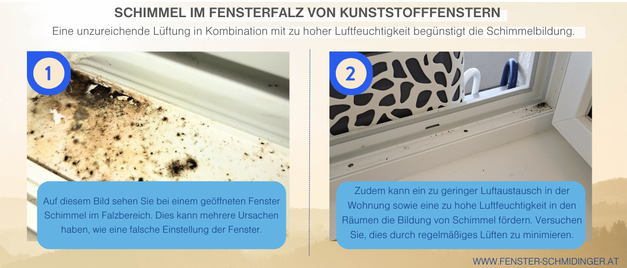 Schimmel am Fenster im Falzbereich eines geöffneten Kunststofffensters durch hohe Luftfeuchtigkeit, schlechte Belüftung oder falsche Einstellung.