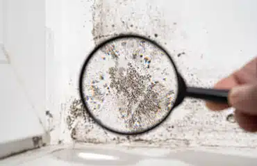 Schimmel am Fenster oder im Anschlussbereich zur Mauer
