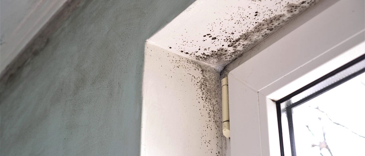 Schimmel im Fensteranschlußbereich kann mehrere Ursachen haben! Fragen Sie am besten nach einer vor Ort Besichtigung Ihrer Fensterfirma um die Ursache festzustellen
