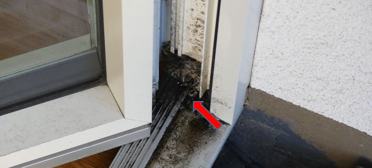 Schimmelbildung an Fensterprofilen und Dichtungen durch Feuchtigkeit oder Kondensat vermeiden, indem Sie Fensterdichtungen pflegen.