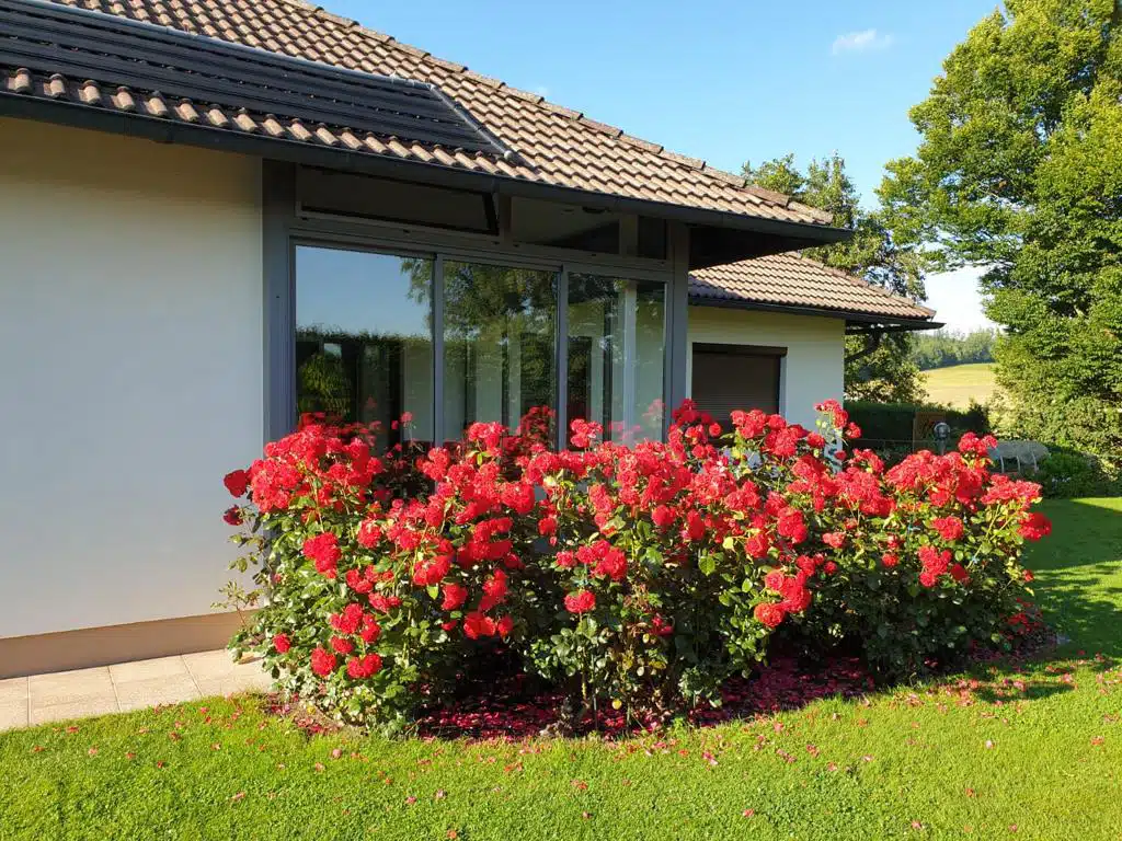 Terrasse mit bestehenden Dach seitlich verglasen