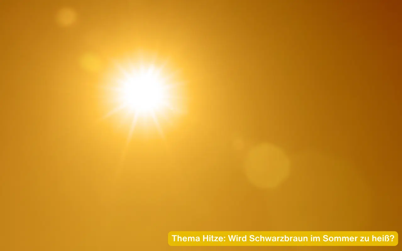 Thema Hitze Wird Schwarzbraun im Sommer zu heiß – grelle Sonne vor orangefarbenem Himmel als Sinnbild für sommerliche Hitze