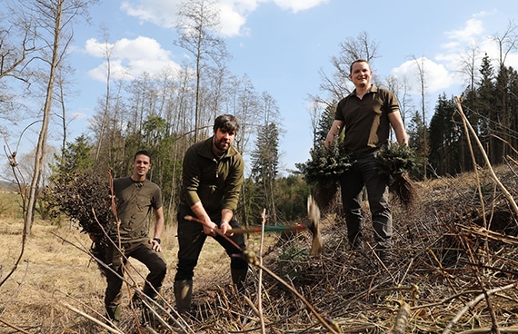 Wald4Leben Team beim Bäume pflanzen