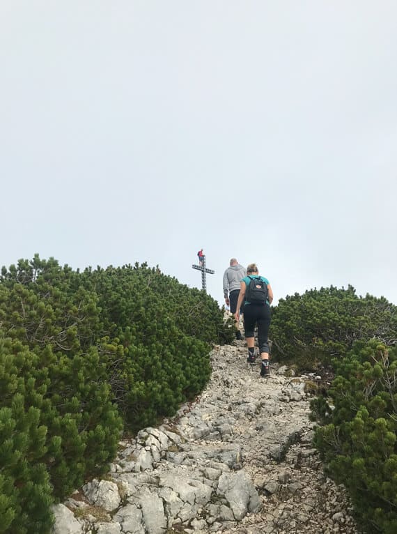 Beim Wanderausflug auf den Feuerkogel in Oberösterreich erklimmen Mitarbeiter von Fenster-Schmidinger gemeinsam den Berg. Das Bild zeigt sie kurz vor dem Gipfel, umgeben von Latschen, mit Blick auf das Kreuz.