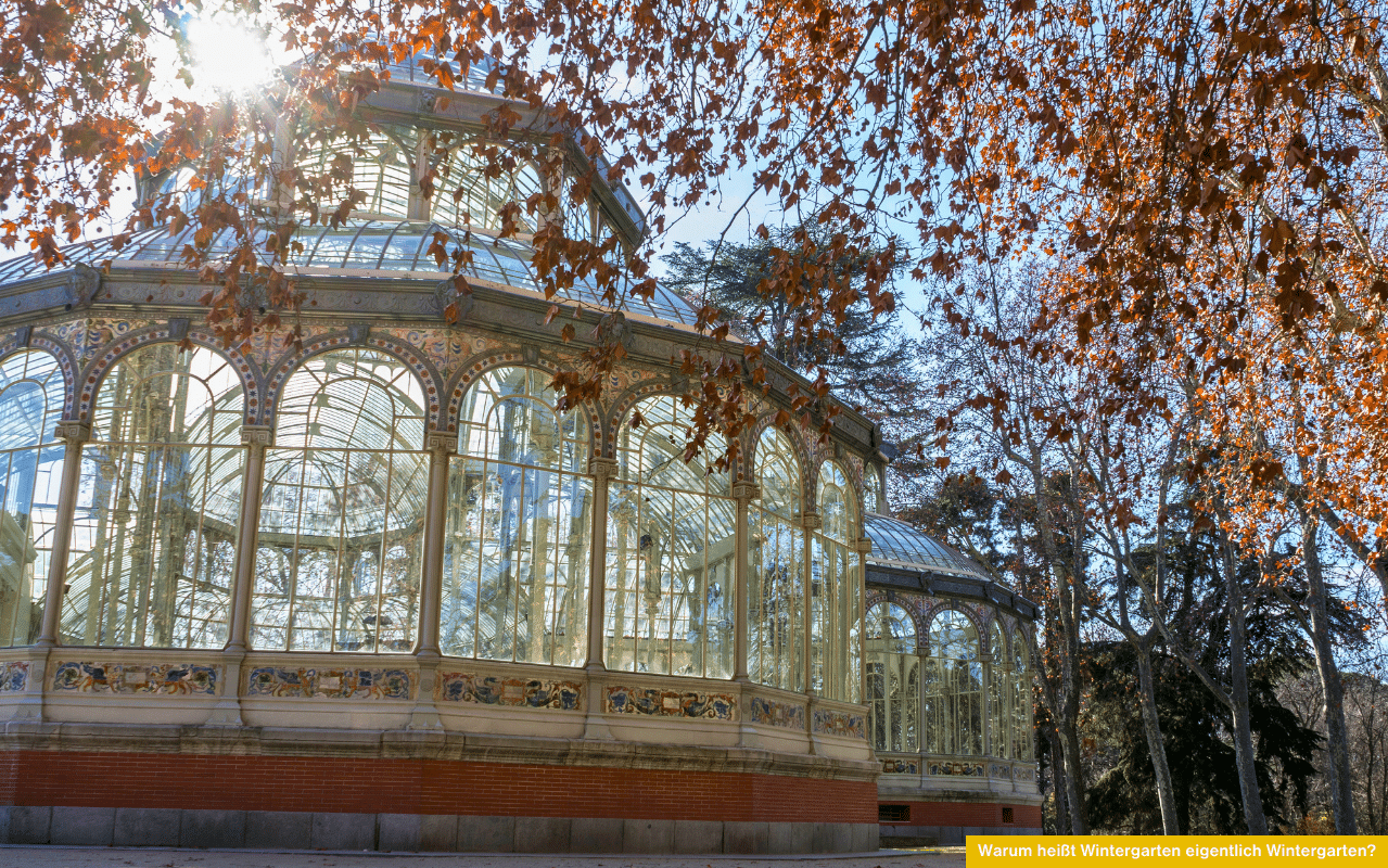 Ein großer, historischer Wintergarten mit aufwendig verzierten Glaselementen und Rundbögen steht inmitten herbstlicher Bäume. Die tiefstehende Sonne scheint durch die gläserne Konstruktion, die einst für den Schutz empfindlicher Pflanzen im Winter erbaut wurde.