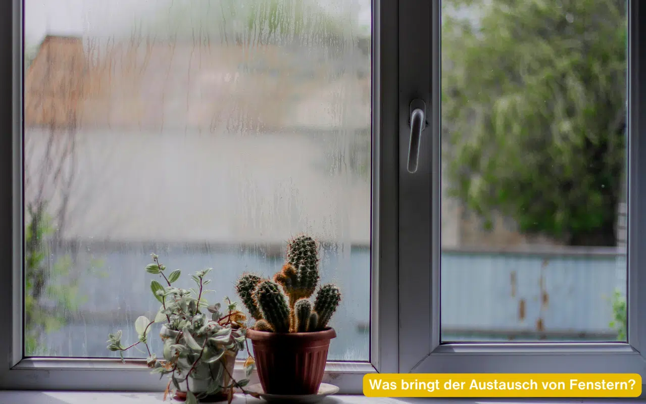 Älteres Fenster mit stark beschlagener, von Kondenswasser bedeckter linker Scheibe.