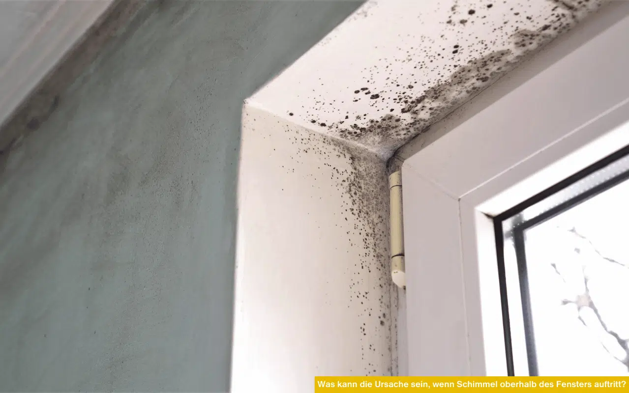 Was kann die Ursache sein, wenn Schimmel oberhalb des Fensters auftritt? Schwarze Schimmelflecken an Fensterlaibung
