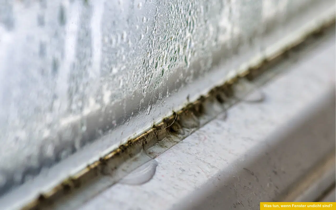 Was tun, wenn Fenster undicht sind und sich Feuchtigkeit an den Dichtungen sammelt – Ursachen erkennen und richtig abdichten.