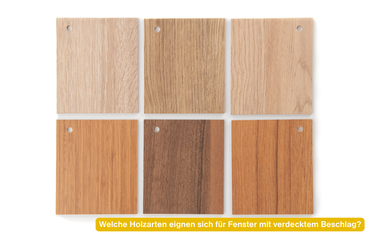 Welche Holzarten eignen sich für Fenster mit verdecktem Beschlag? Sechs Holzmuster verschiedener Holzarten nebeneinander