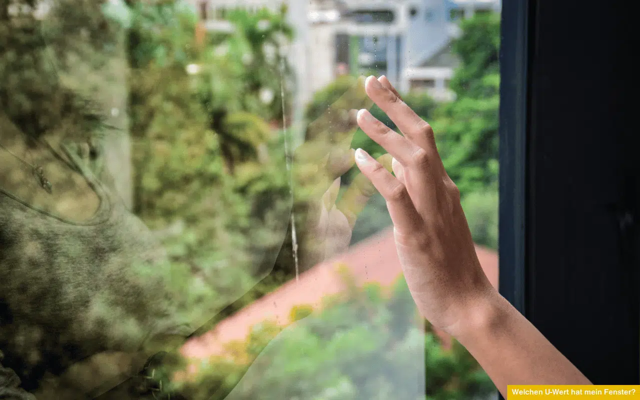 Welchen U-Wert hat mein Fenster zeigt eine Hand, die von innen eine Fensterscheibe berührt mit Blick auf grüne Außenansicht.
