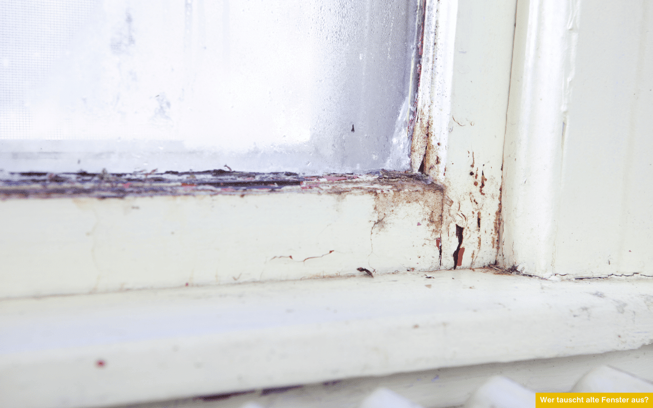 Wer tauscht alte Fenster aus? Das Bild zeigt ein beschädigtes Fenster mit Feuchtigkeitsschäden an den Rahmen und Dichtungen, typisch für einen dringenden Austausch.